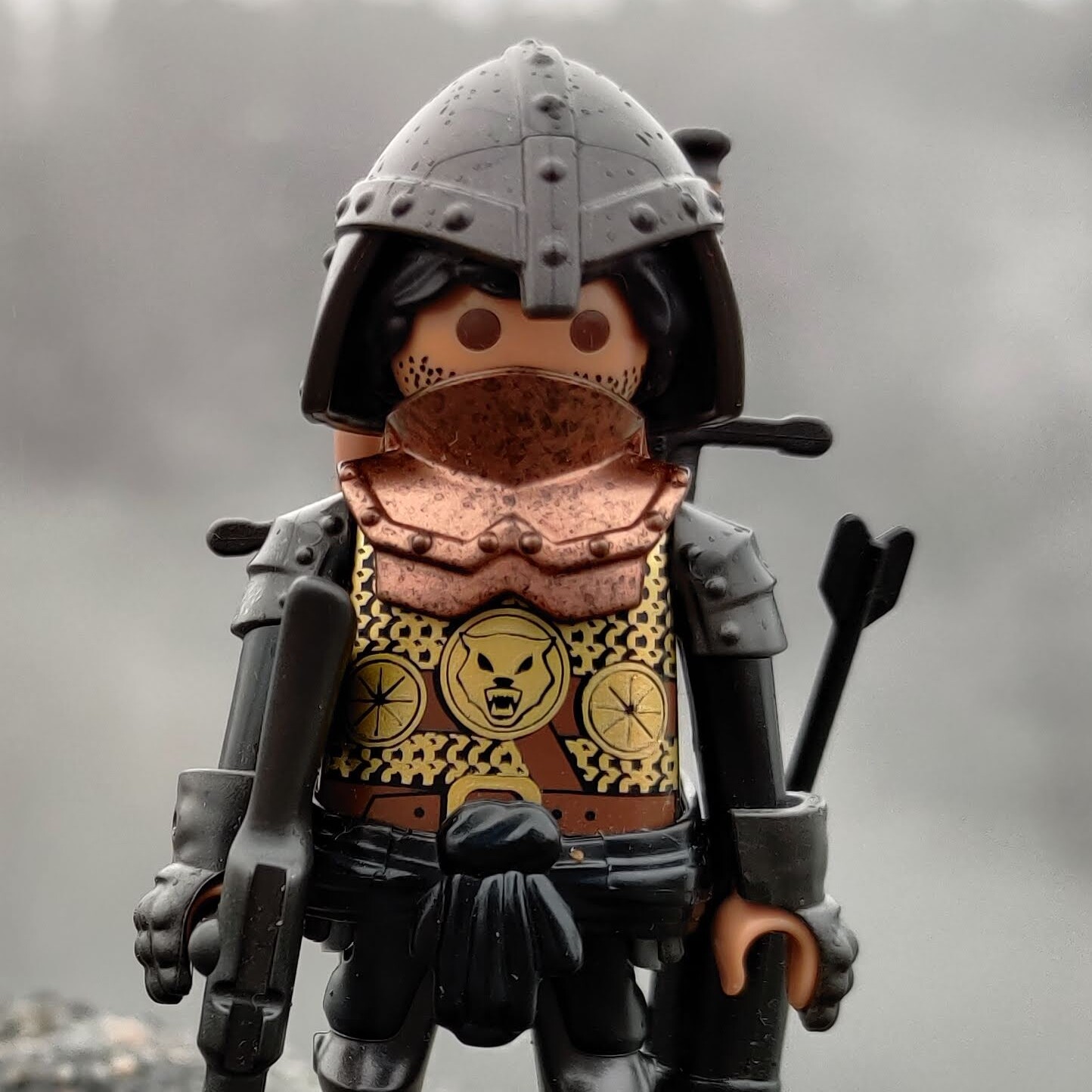 Ritter im Nebel auf einem Felsen